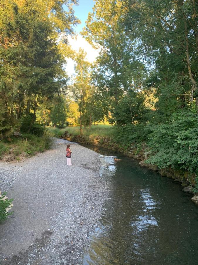 Petit Cocon Entre Lac, Golf Et Montagne, Proche D'Annecy Жие Экстерьер фото
